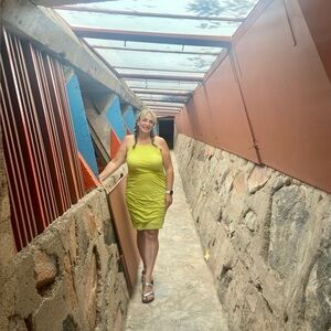 Velvet by Graham & Spencer Lime Green Ruched Bodycon Dress XL